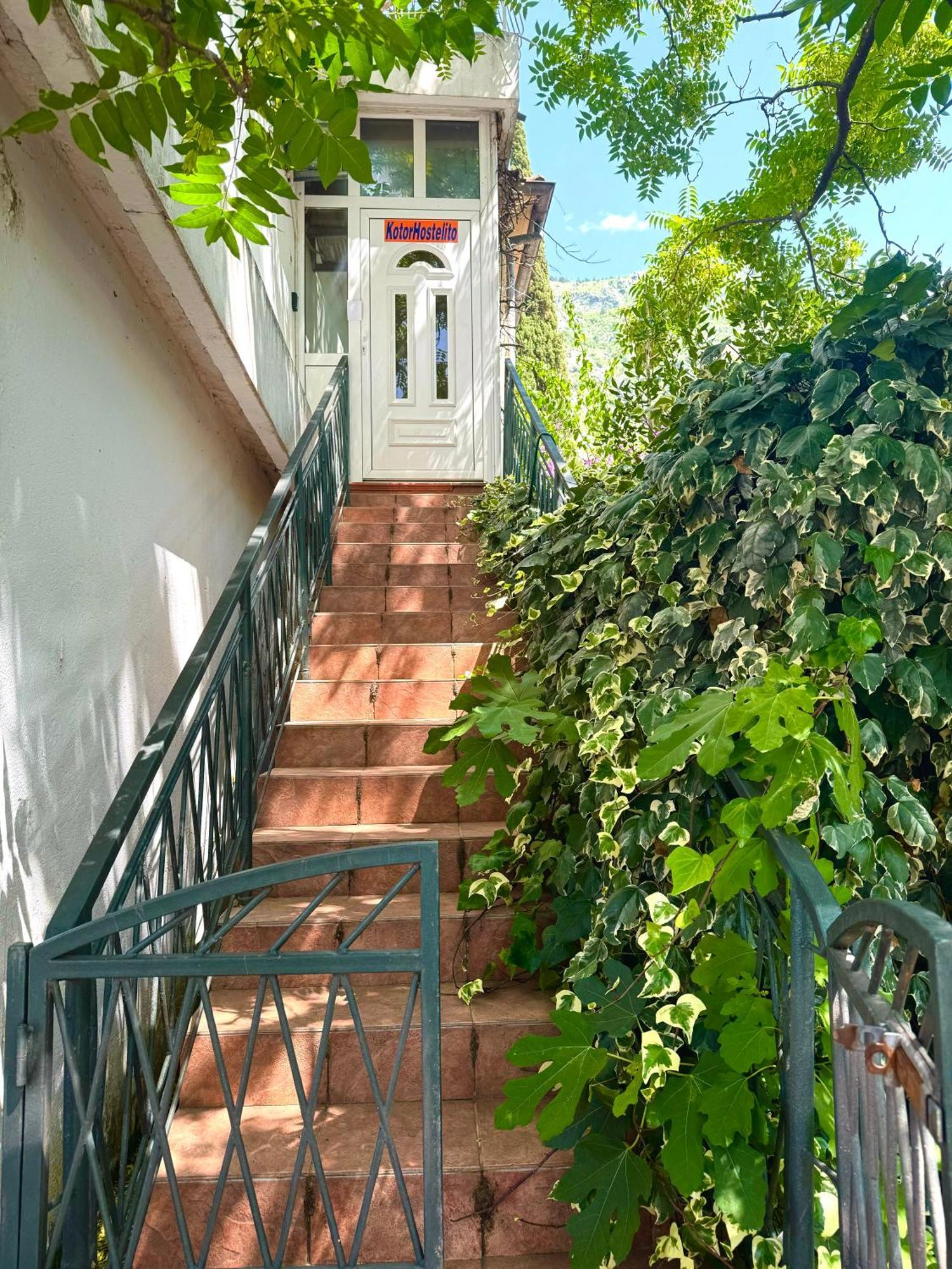 Kotorhostelito Exterior photo